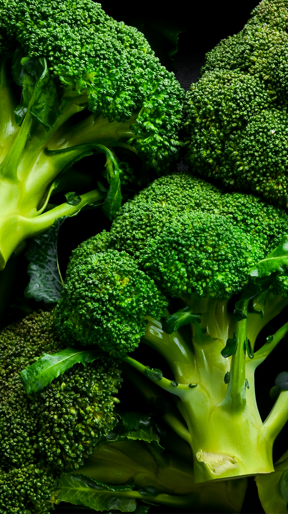 Optimal Storage & Transport